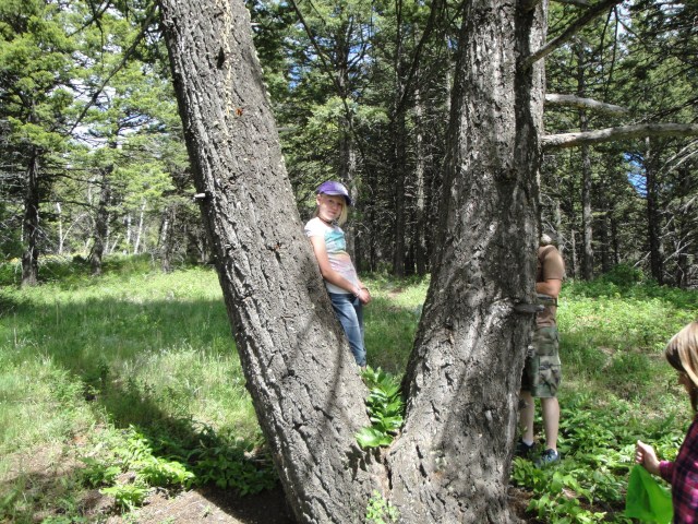 Olivia standing by tree